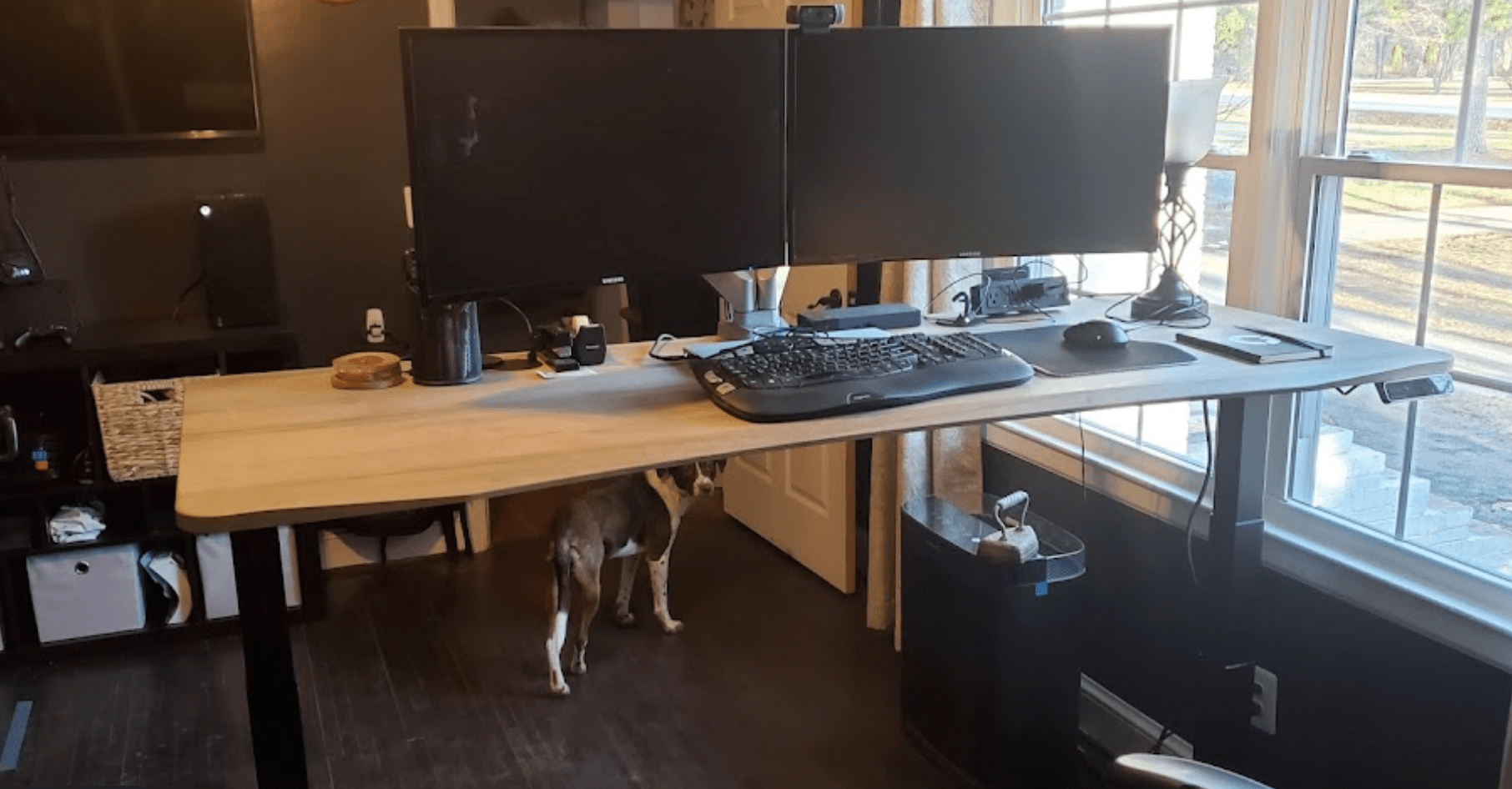 Dual Monitor Arm MojoDesk Accessories